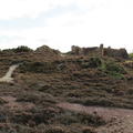 ruins of the Mona Mine yard sat atop a hill