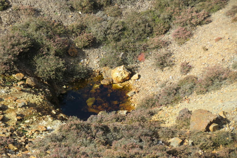 small pond of acidic yellow water