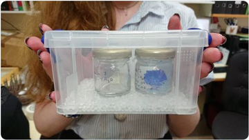 image of woman holding a clear box containing jars. In each jar is a mineral